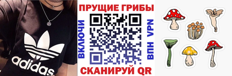 Псилоцибиновые грибы Psilocybine cubensis  Ветлуга 